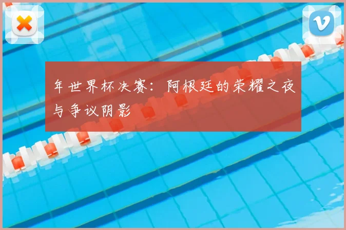年世界杯决赛：阿根廷的荣耀之夜与争议阴影
