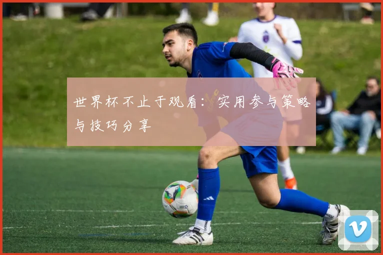 世界杯不止于观看:实用参与策略与技巧分享