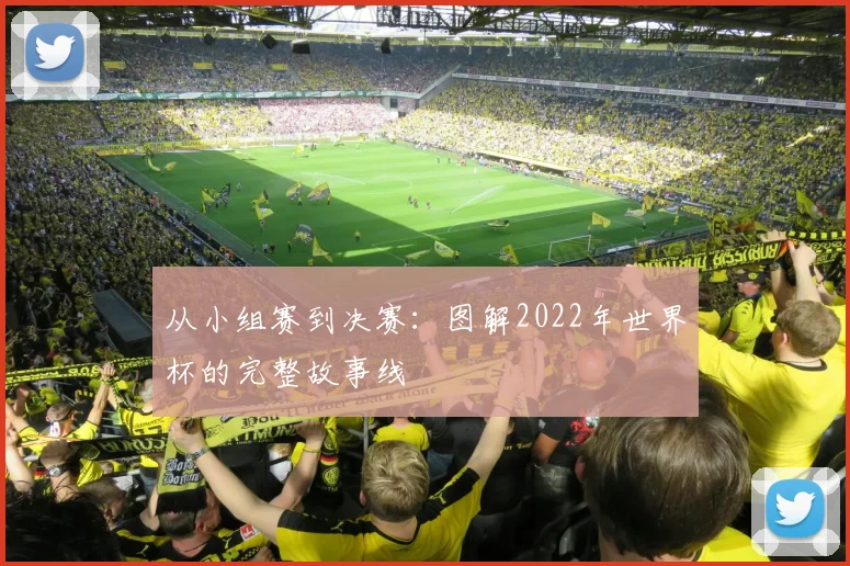 从小组赛到决赛:图解2022年世界杯的完整故事线